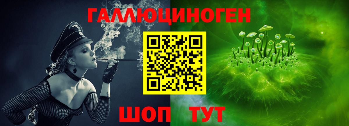 Владимир  Псилоцибиновые грибы Psilocybe  Вход с VPN 